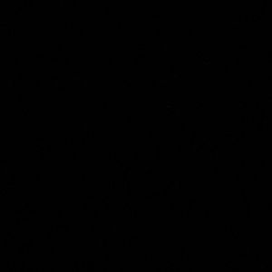 Meet your Posher, Hamza